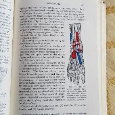 Lot #370: (2) Antique/Vintage Hardback Books