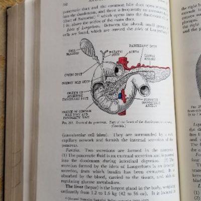 Lot #370: (2) Antique/Vintage Hardback Books