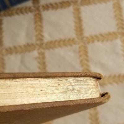 Lot #370: (2) Antique/Vintage Hardback Books