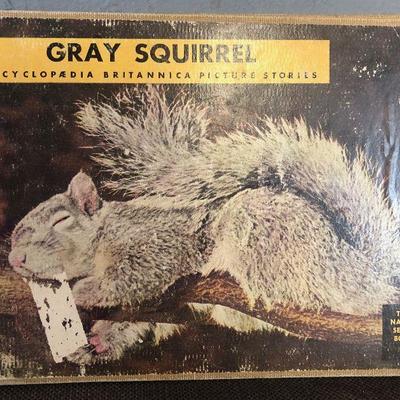 #6 Vintage Children's book Gray Squirrel