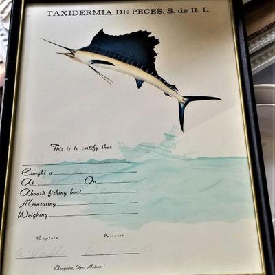 Lot #120  LARGE Taxidermied Sailfish - caught in Acupulco in 1969