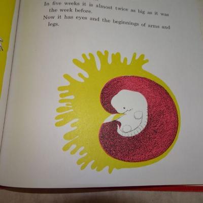 1969 A Baby Starts to Grow by Paul Shadows & Rosalind Fry 