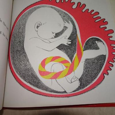 1969 A Baby Starts to Grow by Paul Shadows & Rosalind Fry 