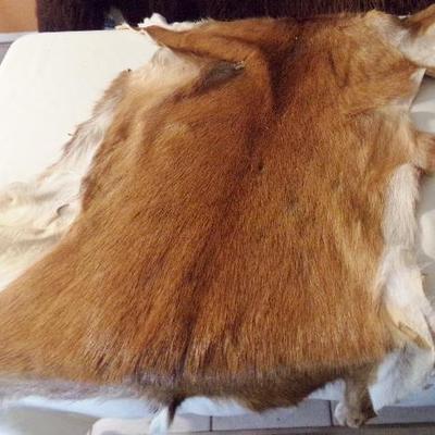 LOT 91  PELTS/HIDES OF RED & WHITE TAIL DEERS