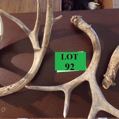 LOT 92  ANTLERS