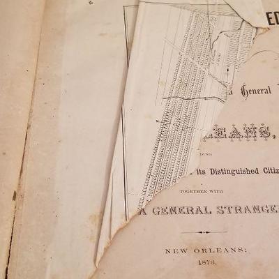 Lot #133  Jewell's Crescent City Illustrated - 1873 - VERY RARE book - History/genealogy New Orleans