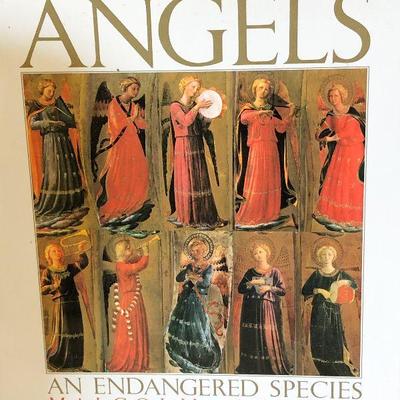 L51: Angels that Light-Up and More 