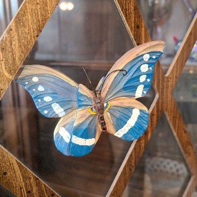 K25: Unique Split-Butterfly Magnets!