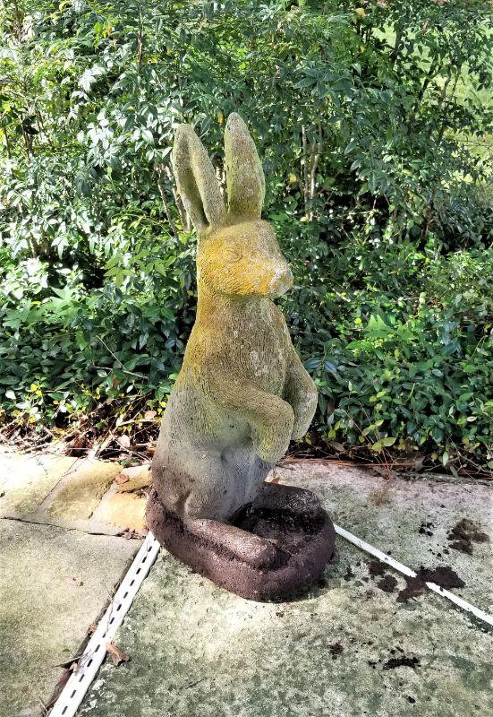 rabbit concrete statue