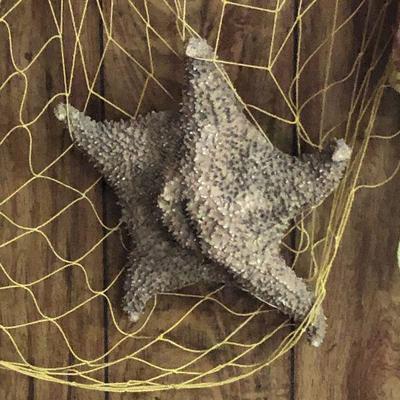 F8: Nautical Net Decor and Coral leafs