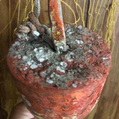 F8: Nautical Net Decor and Coral leafs