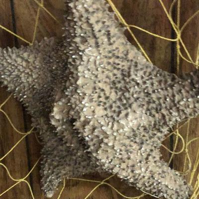 F8: Nautical Net Decor and Coral leafs