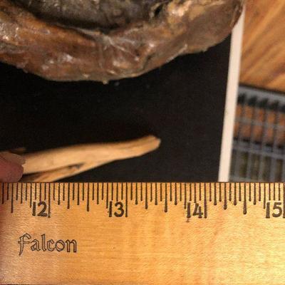 F30: Driftwood Decor