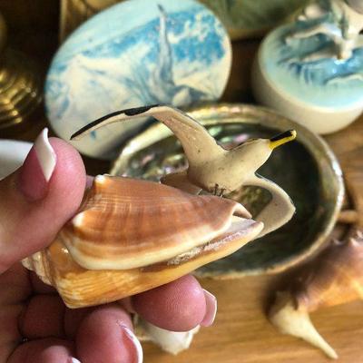 F54: Shell Pillows, Shell lamp, and More
