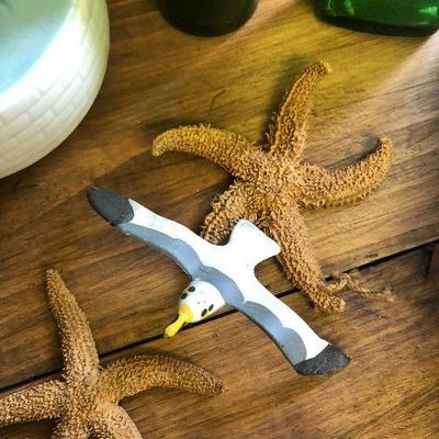 F54: Shell Pillows, Shell lamp, and More