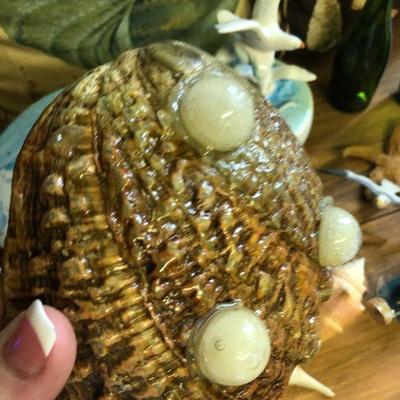 F54: Shell Pillows, Shell lamp, and More