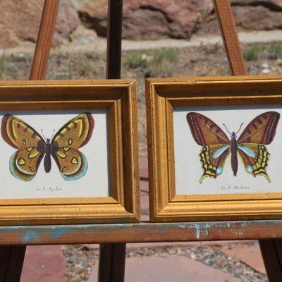 Lot 2-100: Pair of Vintage Butterfly Study Framed Art Prints {7.5