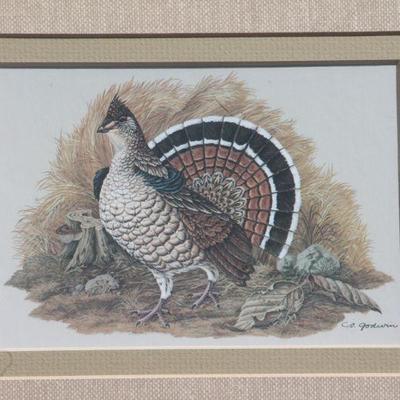 Lot 2-101: Vintage Wild Turkey Lithograph by C.O. Godwin {14.5