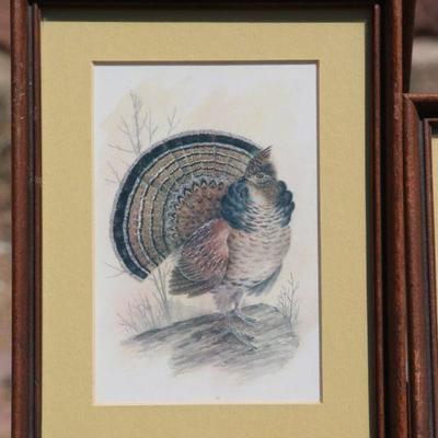Lot 2-102: Vintage Series of (4) Small Framed Bird Study Prints {Each is 8.5