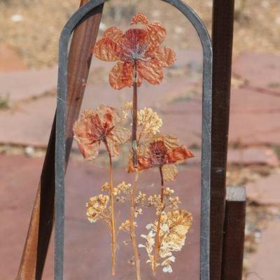 Lot 2-111: Antique/Vintage Glass Framed Flower Study {8.5