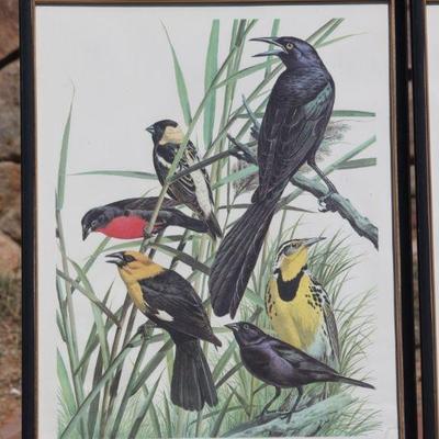Lot 2-120: (2) Antique/Vintage SINGER Bird Study Framed Art Prints {16