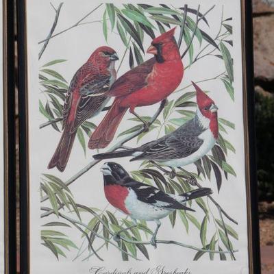 Lot 2-120: (2) Antique/Vintage SINGER Bird Study Framed Art Prints {16