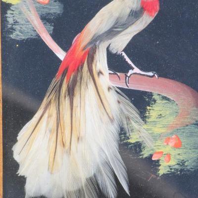 Lot 2-122: Vintage Mexico FeatherCraft Fine Art Bird Wood Framed {8
