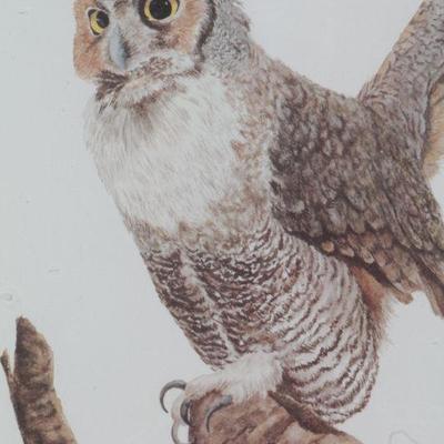 Lot 2-156: Vintage Framed 1974 Signed WILLOWEISE Owl Numbered Artwork #662/1000 