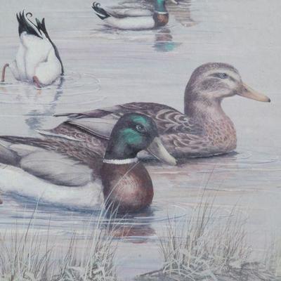Lot 2-158: Vintage Framed SIGNED by ANNI MOLLER Ducks in Water Original Artwork {28