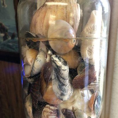 F62: Seagull Pillow and Nautical Decor