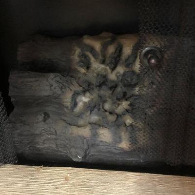 F66: Electric Fireplace