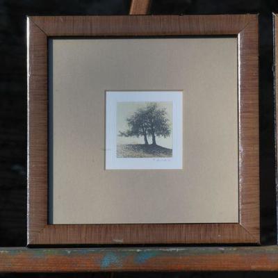 Lot 2-190: Pair of (2) Vintage Small Tree Framed Prints {Each 8