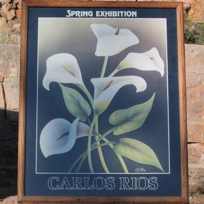 Lot 2-193: Vintage CARLOS RIOS Flower Framed Print {29.5