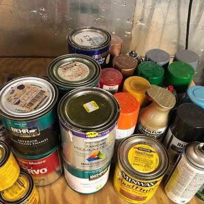 W20: Lot of Paints and Stains