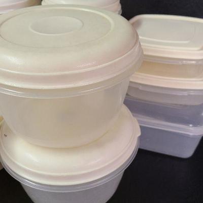 C245: Rubbermaid Storage Containers.