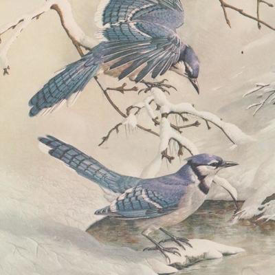Lot 2-212: Vintage 1968 Avian Framed Study of Bluebirds SIGNED by BASIL EDE {28.5