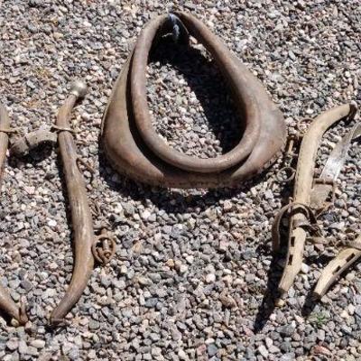 Lot 2-317: Antique/Vintage Horse Accessories Bundle
