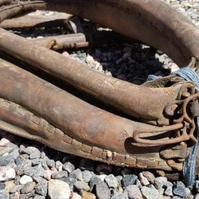 Lot 2-317: Antique/Vintage Horse Accessories Bundle