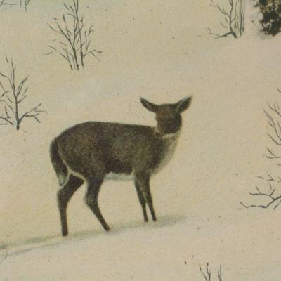 Lot 2-437: Vintage 1930's A.A. Auguston Framed Fine Art Print "Deer in Woods" 18" x 14" 