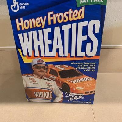 Dale earnhardt memorabilia  lot!