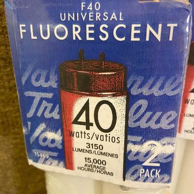 BC30: Fluorescent Lightbulbs