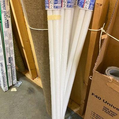 BC30: Fluorescent Lightbulbs