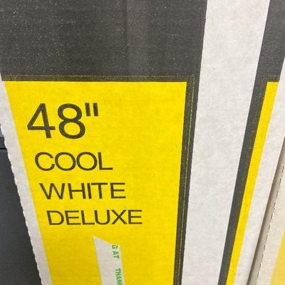 BC32: Commercial Lightbulbs