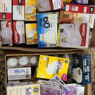 C54: Household Everyday Lightbulbs