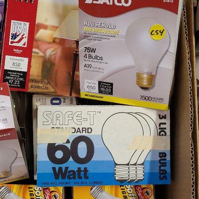 C54: Household Everyday Lightbulbs
