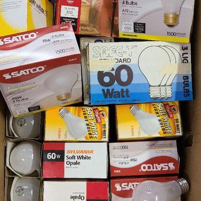 C54: Household Everyday Lightbulbs