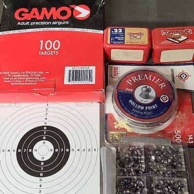 W43: Airgun Targets and Pellets