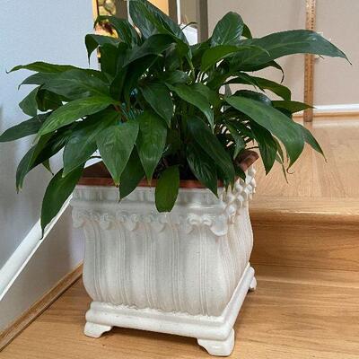 L11: Small Planter with Live Plant