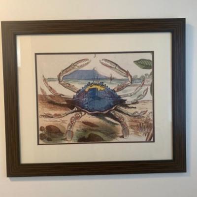 114: Large Crab Print