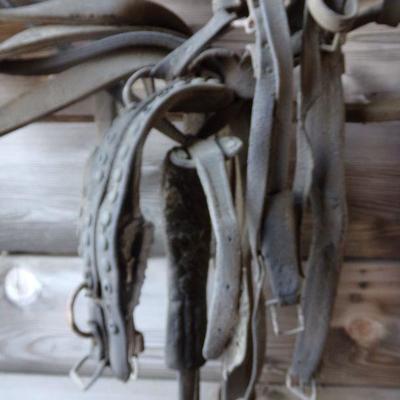 BB-3  VINTAGE HORSE TACK   